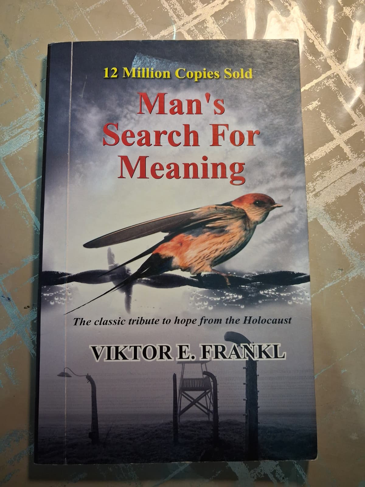 Man's Search for Meaning